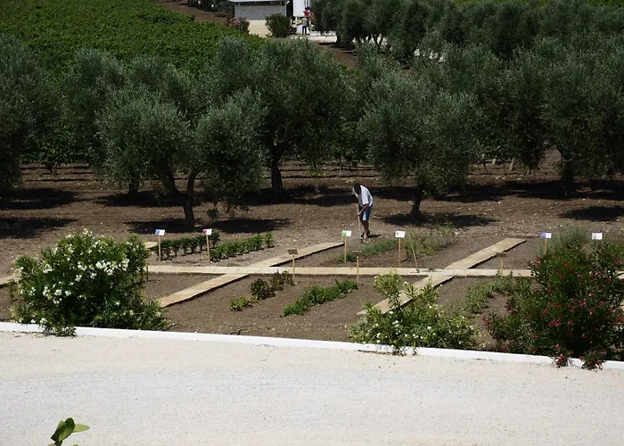 Feudo Croce Apartment *